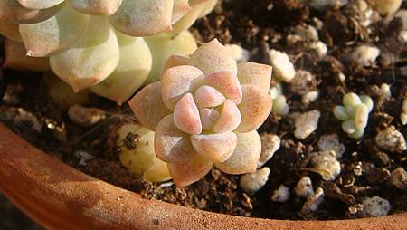 1231 (2).JPG 1231 (2).JPG