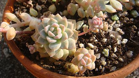 1231 (3).JPG 1231 (3).JPG