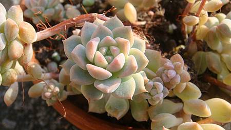 1231 (5).JPG 1231 (5).JPG