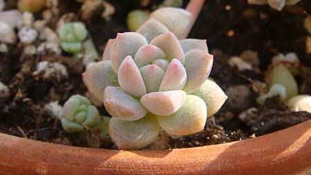 1231 (6).JPG 1231 (6).JPG