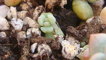 1231 (7).JPG 1231 (7).JPG