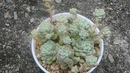 DSC09411.JPG DSC09411.JPG