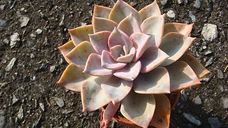 DSC00377.JPG DSC00377.JPG