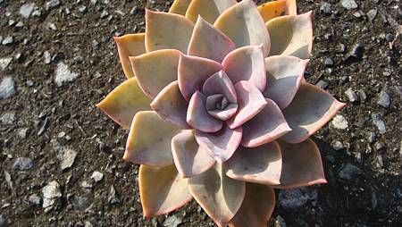 DSC00378.JPG DSC00378.JPG