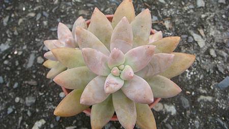 DSC00569.JPG DSC00569.JPG