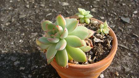 DSC01522.JPG DSC01522.JPG