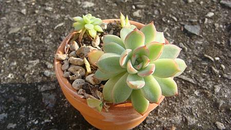 DSC01523.JPG DSC01523.JPG