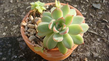 DSC01524.JPG DSC01524.JPG