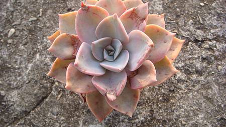 DSC01749.JPG DSC01749.JPG