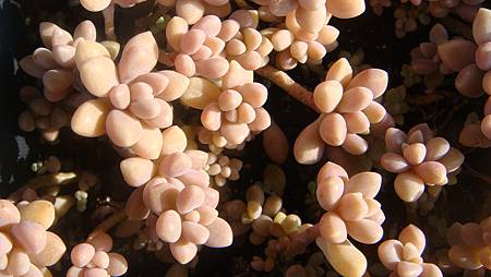 DSC02234.JPG DSC02234.JPG