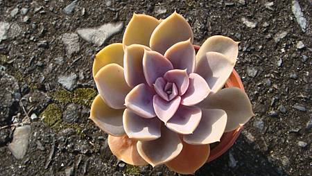 DSC00374.JPG DSC00374.JPG