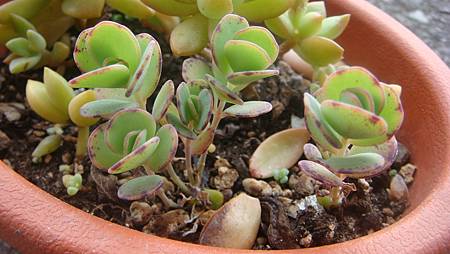 DSC01295.JPG DSC01295.JPG