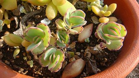 DSC01607.JPG DSC01607.JPG