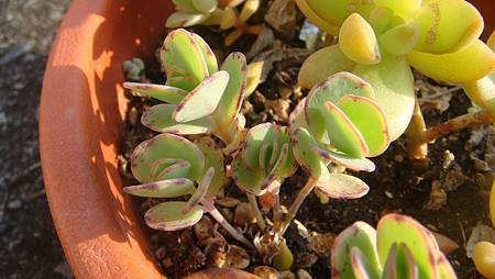 DSC01608.JPG DSC01608.JPG