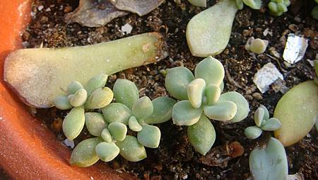 DSC01728.JPG DSC01728.JPG