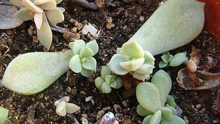 DSC01730.JPG DSC01730.JPG