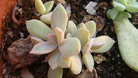 DSC01734.JPG DSC01734.JPG