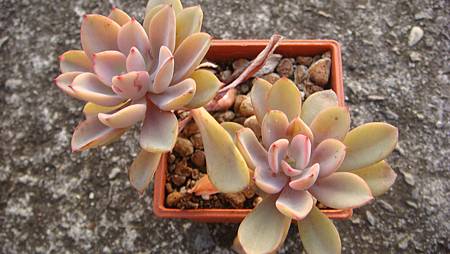 DSC01745.JPG DSC01745.JPG