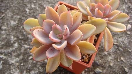 DSC01747.JPG DSC01747.JPG