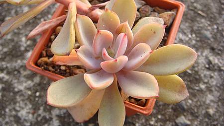 DSC01748.JPG DSC01748.JPG