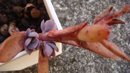 DSC01753.JPG DSC01753.JPG