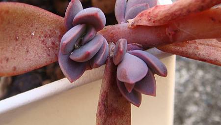 DSC01755.JPG DSC01755.JPG