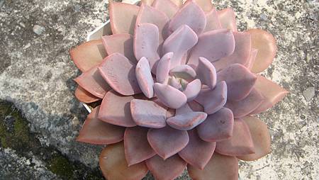 0831 (1).JPG 0831 (1).JPG