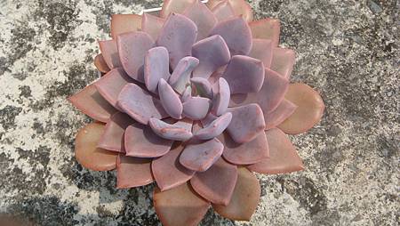 0831 (2).JPG 0831 (2).JPG