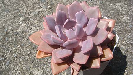 0921 (1).JPG 0921 (1).JPG