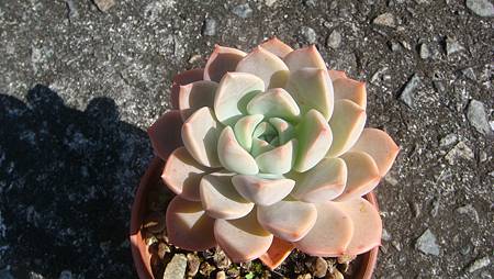 1218 (3).JPG 1218 (3).JPG