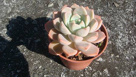 1218 (2).JPG 1218 (2).JPG