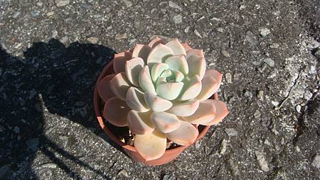 1218 (5).JPG 1218 (5).JPG