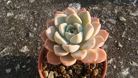 1231 (1).JPG 1231 (1).JPG