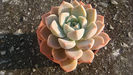 1231 (2).JPG 1231 (2).JPG