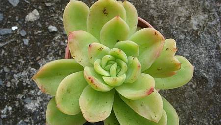 1128 (1).JPG 1128 (1).JPG