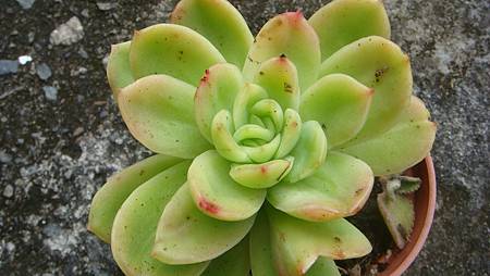 1128 (2).JPG 1128 (2).JPG