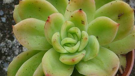 1128 (3).JPG 1128 (3).JPG