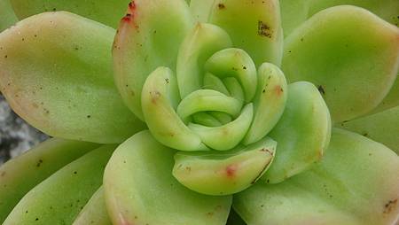 1128 (4).JPG 1128 (4).JPG