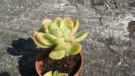 1218 (1).JPG 1218 (1).JPG