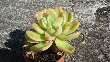 1218 (2).JPG 1218 (2).JPG