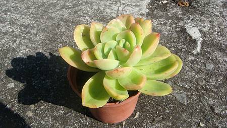 1218 (5).JPG 1218 (5).JPG