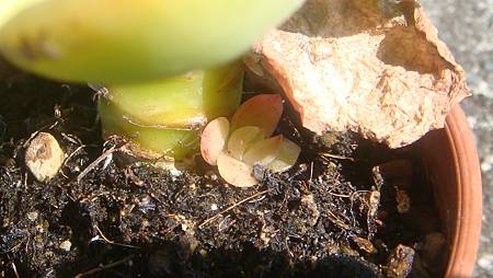 1218 (8).JPG 1218 (8).JPG