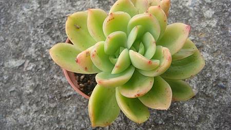 1228 (1).JPG 1228 (1).JPG