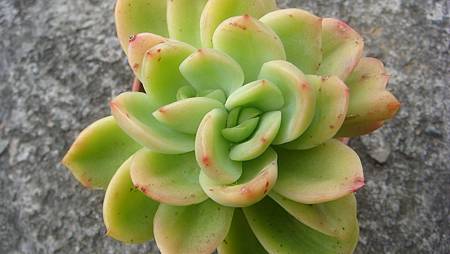 1228 (4).JPG 1228 (4).JPG