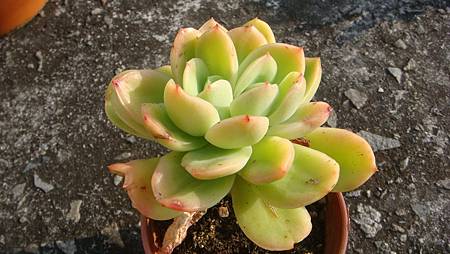 1231 (6).JPG 1231 (6).JPG