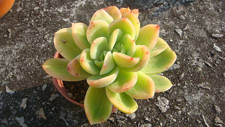 1231 (7).JPG 1231 (7).JPG