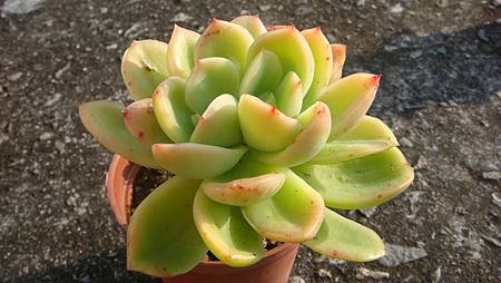 1231 (8).JPG 1231 (8).JPG