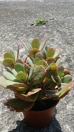 0920 (3).jpg 0920 (3).jpg