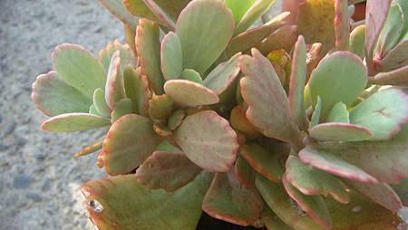 0920 (4).jpg 0920 (4).jpg