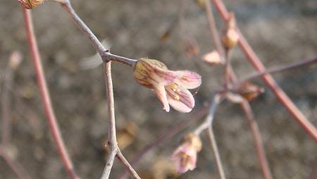 1231 (1).JPG 1231 (1).JPG